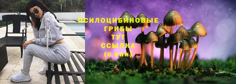 Галлюциногенные грибы MAGIC MUSHROOMS  как найти наркотики  Волчанск 